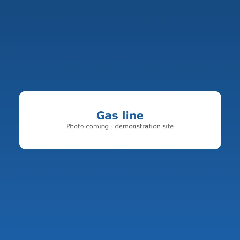 Black iron gas line with a new shutoff valve